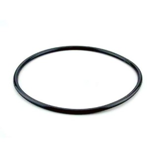 Junta tapa filtro modelo Berlin de Astralpool. 4404070101