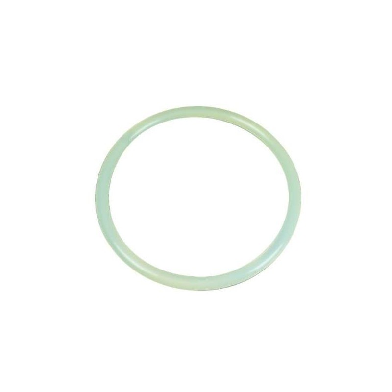 Junta tapa sin tornillo filtro Aster Astralpool. 4404020111