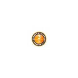 Clorador salino Idegis Domotic 2 DOM2-12PH/LS