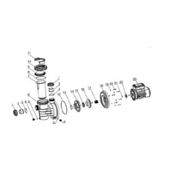 Junta difusor bomba Aspire. 00000026400